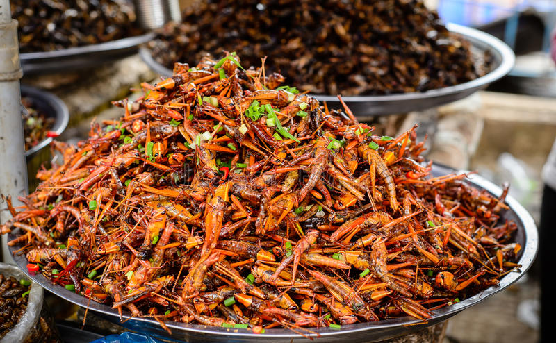comida-de-los-insectos-en-camboya-44658624